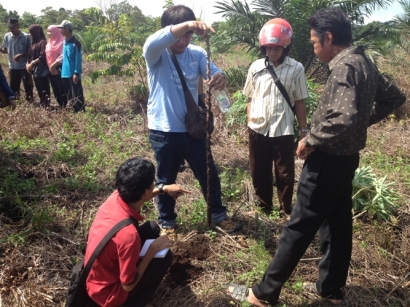 Ternyata, Agroforestri memiliki Peranan Penting dalam Transformasi Lahan di Indonesia