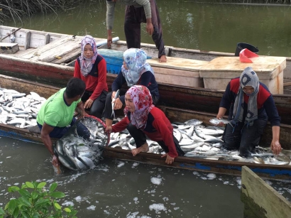 Polres Aceh Utara Bantu Panen Ikan Bandeng