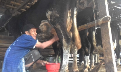 Spirit Wirausaha Susu Menyala di Brau, Dusun Bekas IDT di Kota Batu