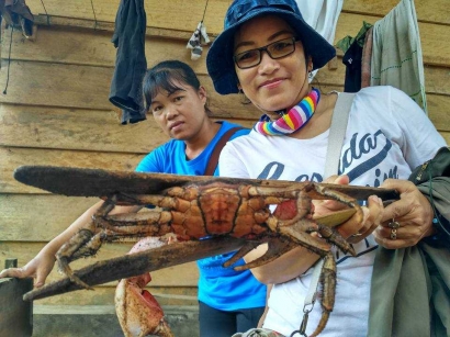 Mari Berburu Kepiting Endemik Mentawai dalam Festival Muanggau!