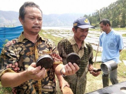 Masih Adakah Penyuluh Pertanian di Gayo Lues?