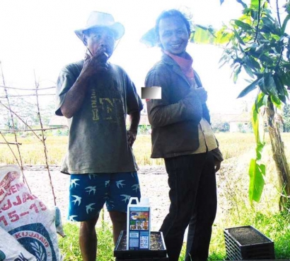 Sahabat Petani Meningkatkan Produksi Padi, Disukai Tengkulak Gabah