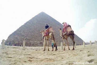 Jebakan Unta di Piramida Giza