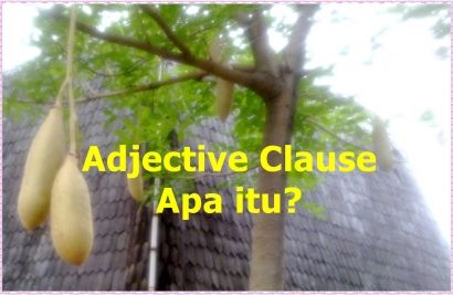 "Adjective Clause", Makhluk Apa itu?