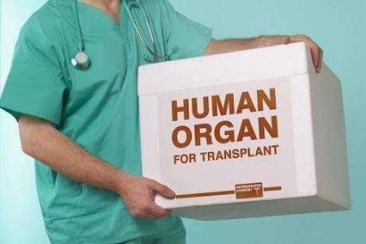 The Shifting: Cancer Only Caused by Organ Transplant?