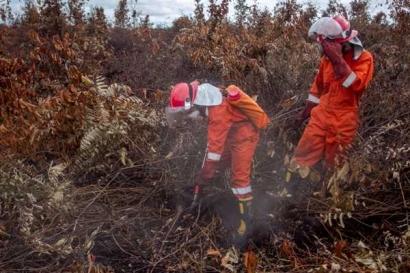 Ini Dia Tim Cegah Api Peduli Hutan Gambut yang Terancam di Ketapang
