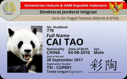 Apa Pentingnya Diplomasi Panda untuk Indonesia?