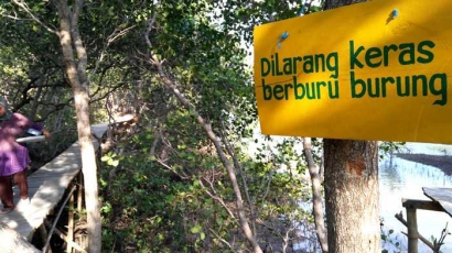 Menyelamatkan Hutan Bakau di Pulau Bawean