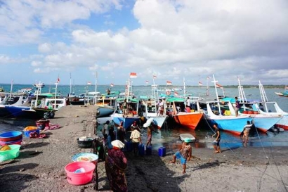 Menelusuri Pelelangan Hiu Ilegal Terbesar di Lombok