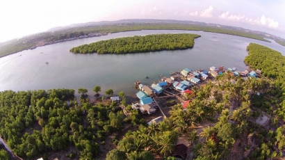 Upaya Pelestarian Hutan Mangrove di Kota Batam