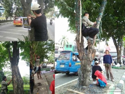 Aksi Membebaskan Pohon dari Benda Perusak di Kota Medan