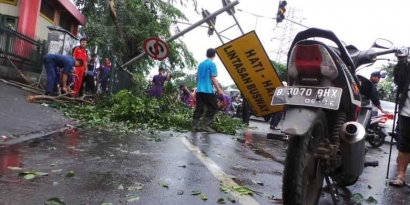 Cuaca Ekstrem di Bandung, dari Pohon Tumbang hingga Reklame Roboh