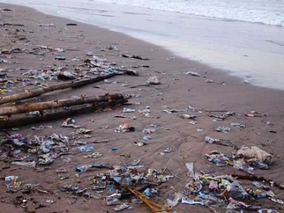 Pentingnya Peran Komunitas Mendukung Lautku Bebas Sampah