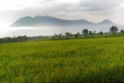 Malang, "The Land of The Six Volcanoes"