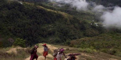 Tahun Politik Mengancam Ketahanan Pangan di Papua