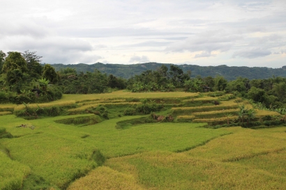 Surga di Ujung Barat Kabupaten Bogor, Agro Wisata  Kampung Kiarasari