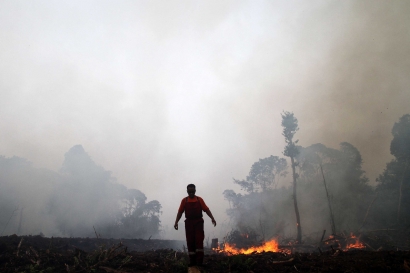 Alasan Jokowi Ancam Copot Kapolda dan Pangdam bila Terjadi Kebakaran Hutan