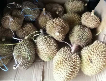 Gara-gara Durian Jadi Batal Terbang!