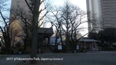 Abu Ribuan Orang Korban Gempa dan Serangan Perang Dunia II, di Yokoamicho Park
