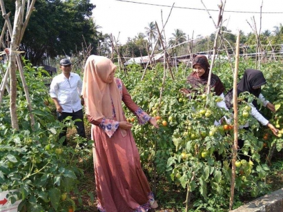 Isteri Gubernur Aceh Apresiasi Pertanian Organik di BDP Aceh