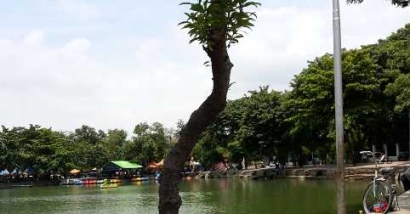 Danau Sunter, Sepotong Keindahan Jakarta