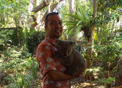 Menariknya "Lone Pine Koala Sanctuary", Suaka Koala Terbesar di Dunia