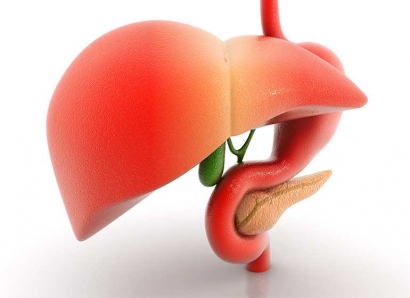 Ketahui Penyakit yang Menyerang Liver Anda!