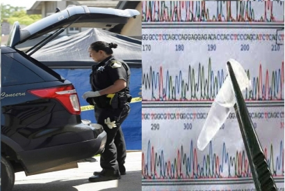 Hasil Tes Genetik Bantu Kepolisian Menemukan Pembunuh Serial yang Telah Lama Buron