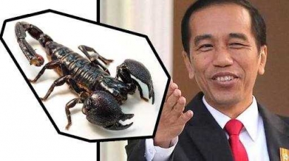 Surat Dukungan Buat Pak Jokowi "Swasembada Kalajengking"