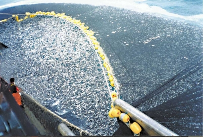 Overfishing: Realita dan (Upaya Pencarian) Solusi