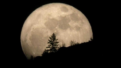 Malam ketika Serigala Memanggil Bulan
