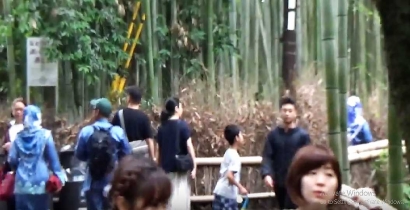 Ternyata Ada Juga yang Merayakan Lebaran di Hutan Bambu Arashiyama, Kyoto