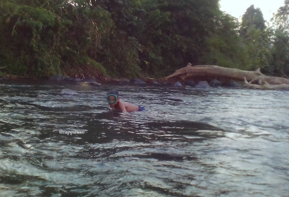 Asyiknya Berenang dan Memanah Ikan di Sungai Muara Laham