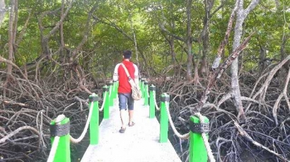Sejenak Jelajah Hutan Mangrove Baluran