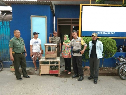 Cegah Penyebaran Penyakit, Tiga Pilar Kelurahan Kota Bambu Utara Jakarta Barat Tertibkan Kandang Ayam