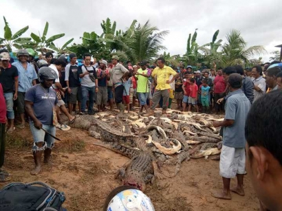 Berkaca dari Pembantaian Buaya di Papua Barat