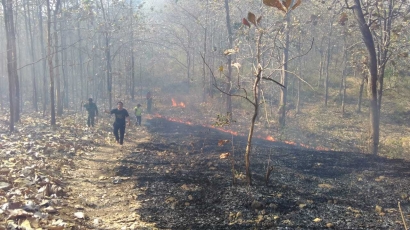 Polsek Sampung dan Perhutani Padamkan Kebakaran Hutan
