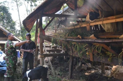 Kambing Menjadi Komoditas Andalan Desa Jembul, Lokasi TMMD Ke-102 Mojokerto