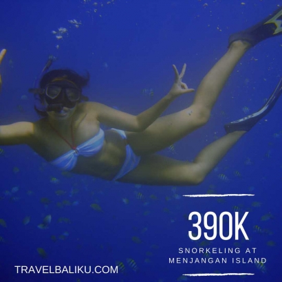 Mengisi Liburan dengan Snorkeling di Pulau Menjangan Bali