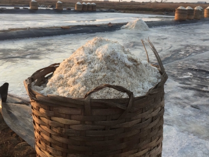 Panen Hasil Tambak Garam Sebagai Potensi Desa di Desa Kedung Malang, Kabupaten Jepara