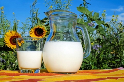 Manfaat Susu Bagi Kesehatan Otak yang Perlu Kita Ketahui
