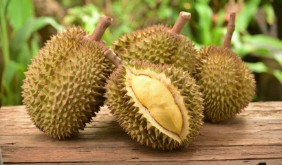 Tips Menjaga Kesegaran Rasa Buah Durian