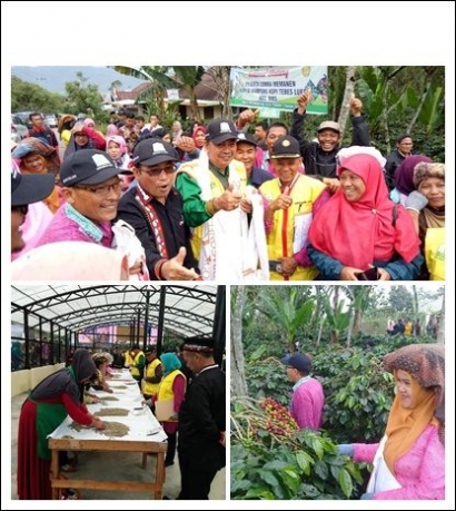 Distan Aceh Tengah "Uji Keterampilan" Petani Kopi