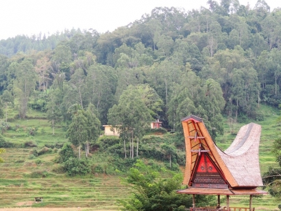 Tana Toraja, Destinasi Tepat untuk Para Pecinta Alam dan Budaya