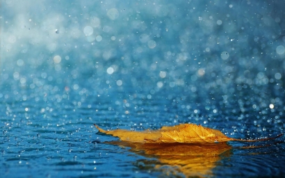 Puisi | Menjadi Hujan