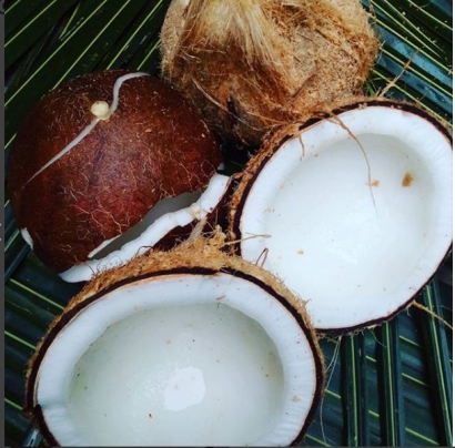 Usaha Kecil "Virgin Coconut Oil" di Desa Batang-batang Daya