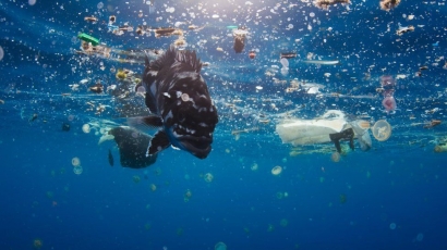 Mengapa Plastik Disukai Biota Laut?