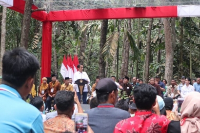 Ihwal Isu Sawit yang "Mengganggu" Jokowi