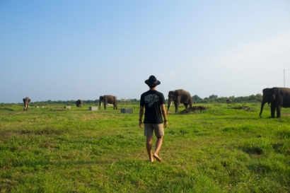 Bermain Bersama Gajah Sumatera di Taman Nasional Way Kambas