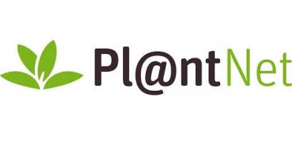 PlantNet, Aplikasi Asyik untuk Mengenal Nama Ilmiah Tanaman